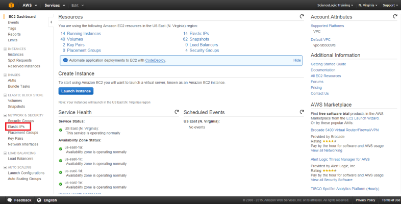 The EC2 Dashboard page with the Elastic IPs filter highlighted.