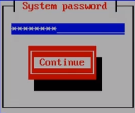 The System Password window
