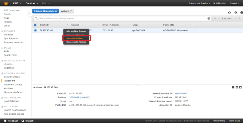 The Allocate New Address page with Associate Address button highlighted