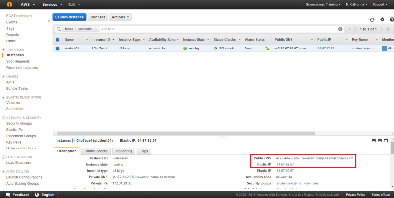 The Instances page with the Public DNS and the Public IP in the bottom